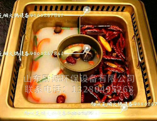 地排和自循環水凈化都可以選擇哪些鍋體加熱方式？